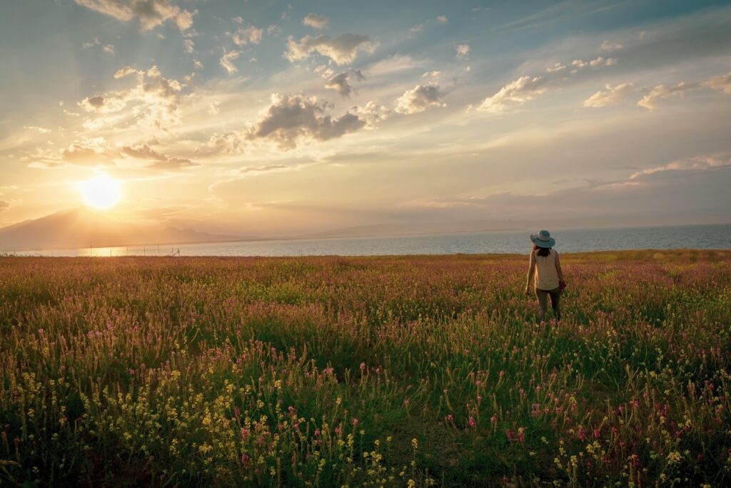Redefining happiness by enjoying daily  rituals A person walking alone in nature, relaxed posture, open sky-symbolizing emotional clarity and freedom